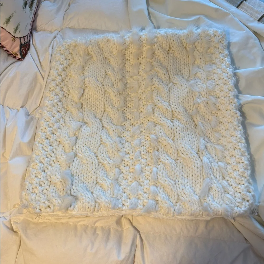 Pottery Barn Woven White Large Pillow Case